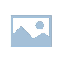 大狮匠品牌简介